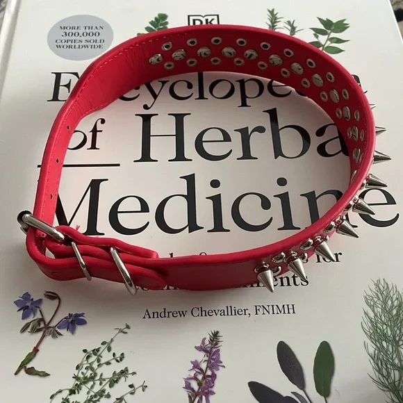 Red Collar - Picture 4 of 5